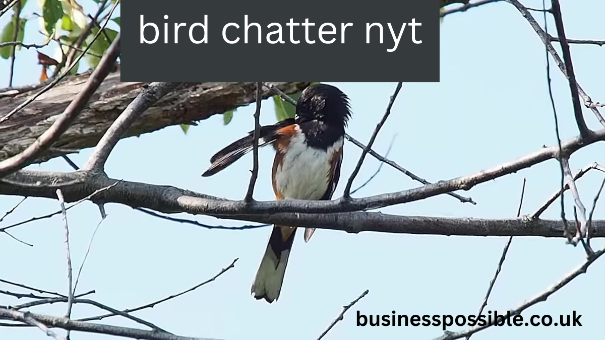 bird chatter nyt