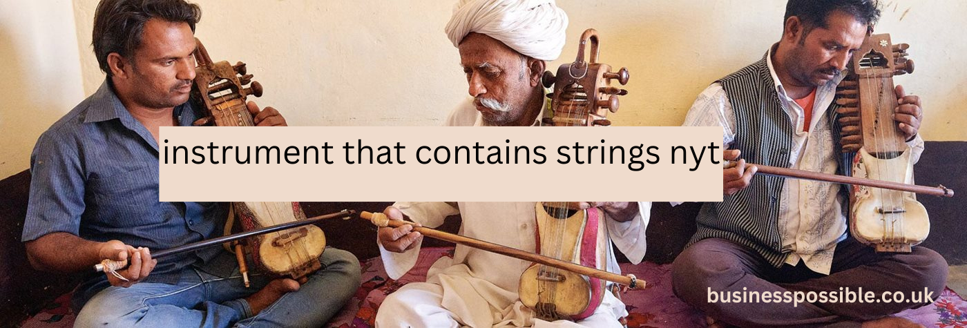 instrument that contains strings nyt