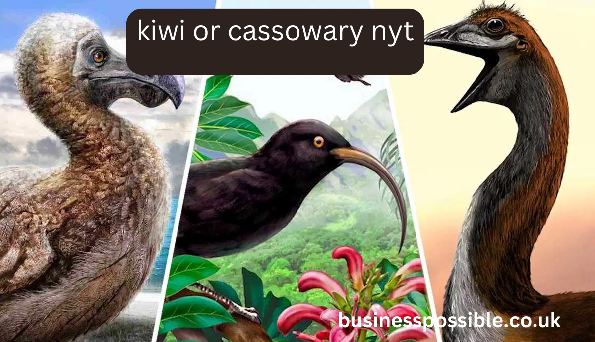 kiwi or cassowary nyt