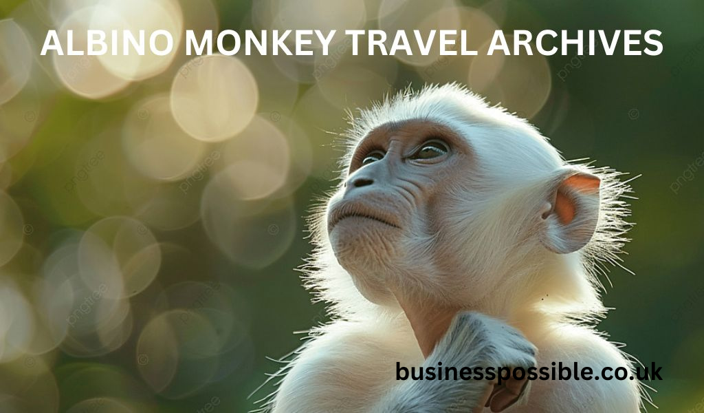 albino-monkey.net travel archives